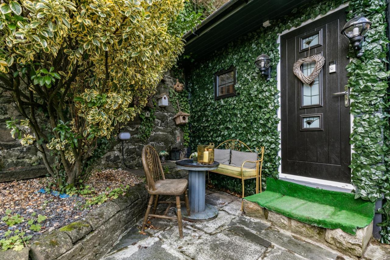 Belfast Cosy Cabin Ngoại thất bức ảnh